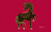 Zune Zodiac Horse